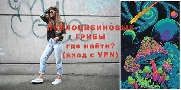 a pvp Медногорск