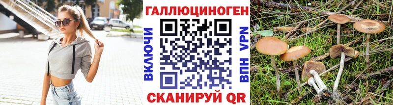 Псилоцибиновые грибы ЛСД  Сольвычегодск 