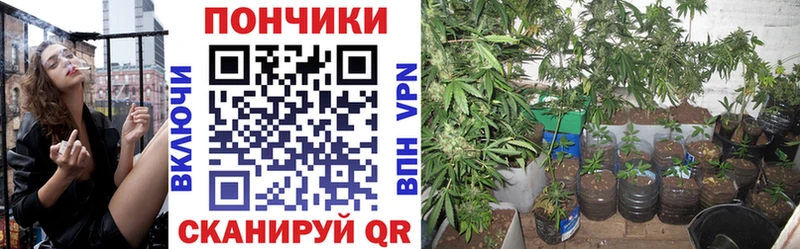 Марихуана White Widow Сольвычегодск